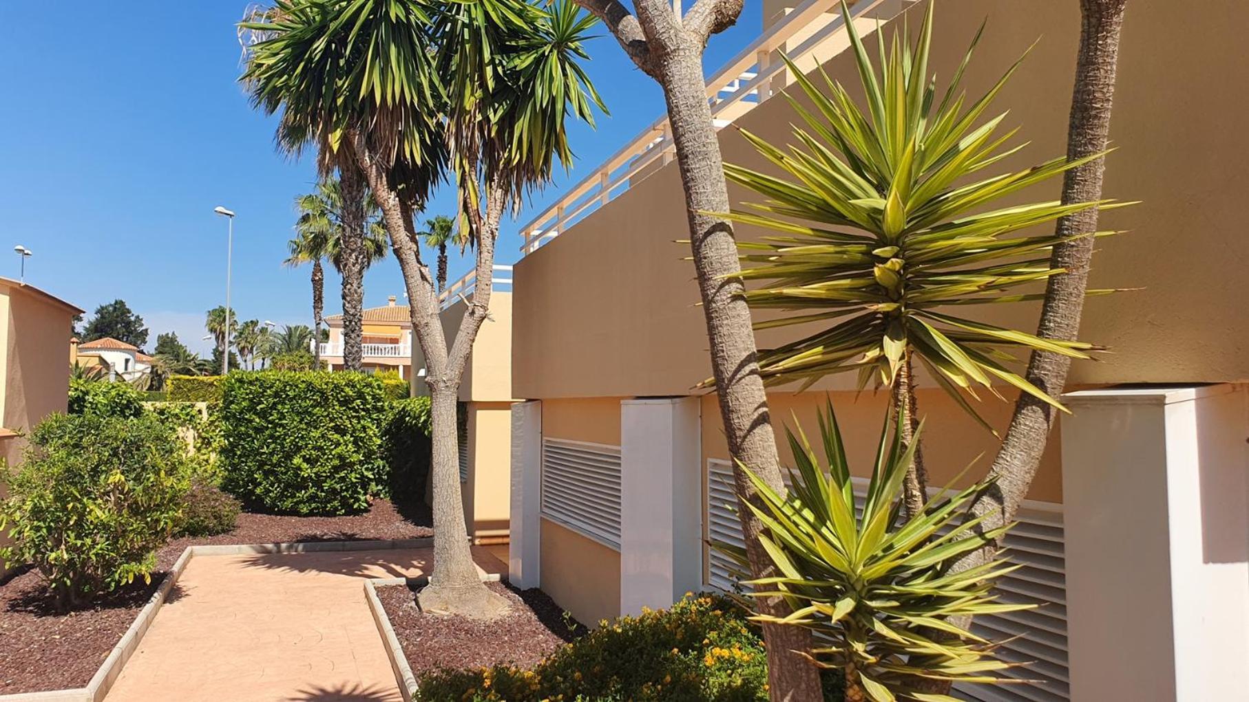 Apartamentos Par Tres - Oliva Nova Exterior photo